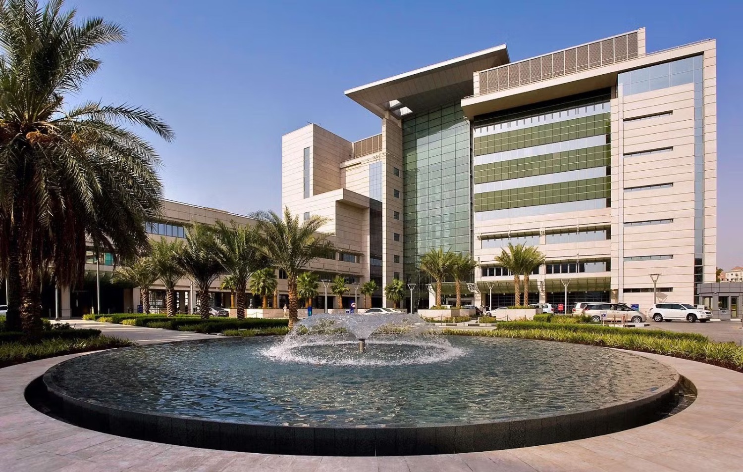 Dubai Approves New Hospitals, Smart Infrastructure & Education Reforms | Die Geissens Real Estate | Luxus Immobilien mit Carmen und Robert Geiss – Die Geissens in Dubai