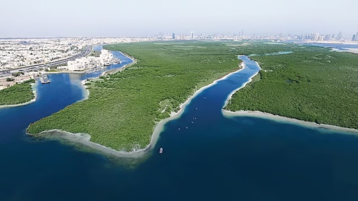 UAE to Plant 100 Million Mangroves by 2030 | Die Geissens Real Estate | Luxus Immobilien mit Carmen und Robert Geiss – Die Geissens in Dubai