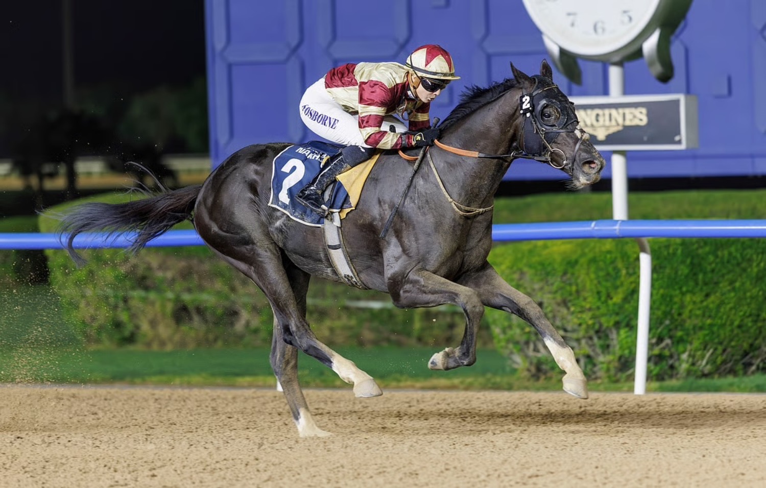 Dubai Racing Carnival: 300 Horses from 19 Countries at Meydan | Die Geissens Real Estate | Luxus Immobilien mit Carmen und Robert Geiss – Die Geissens in Dubai